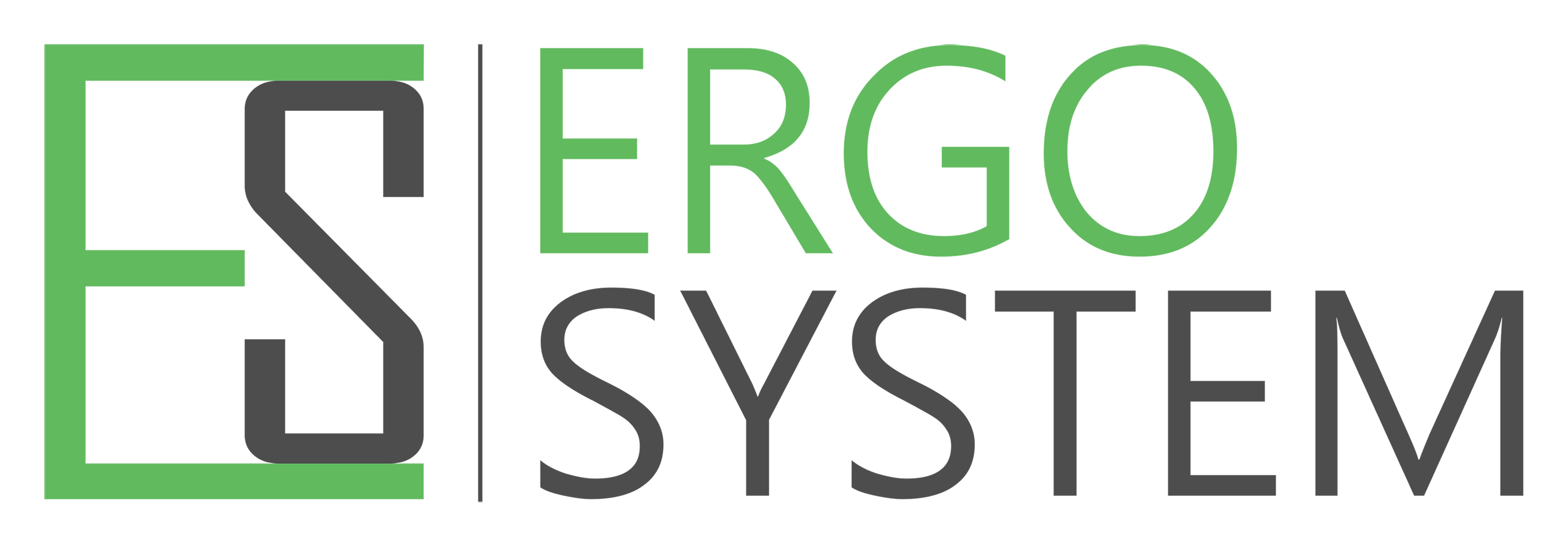 Logo Ergo System
